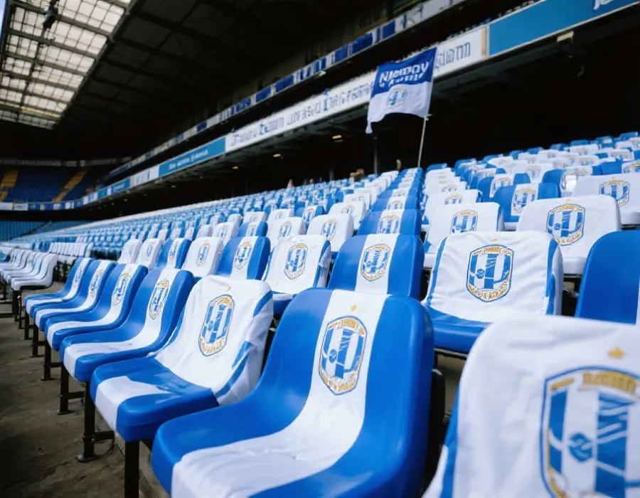 球场观赛氛围插图